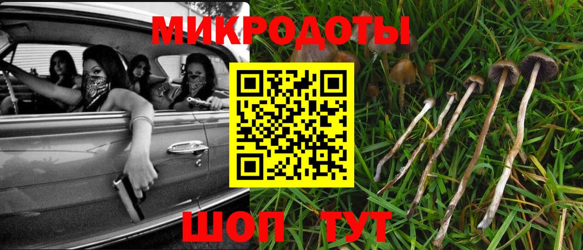 Галлюциногенные грибы Psilocybe  Вход с VPN  Нефтеюганск 